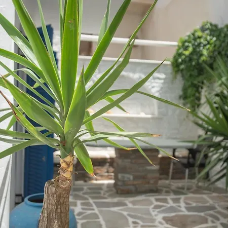 Alsos Διαμέρισμα Naxos City