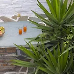 Alsos Apartment Naxos City